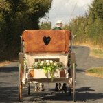 Bridal Horse and Carriage Wedding France Horse and Carriage