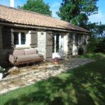 Papillon outside terrace