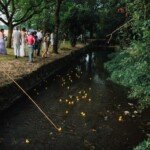 Duck Race !